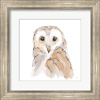 Framed Barn Owl II