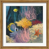 Framed Coastal Reef II