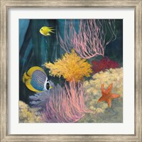 Framed Coastal Reef II