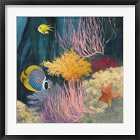 Coastal Reef II Framed Print