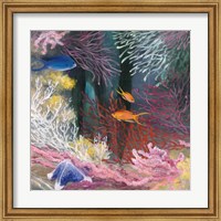 Framed Coastal Reef I