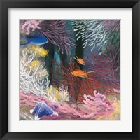 Framed 'Coastal Reef I' border=