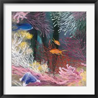 Framed Coastal Reef I