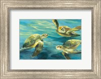 Framed Sea Turtles