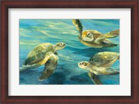 Framed Sea Turtles