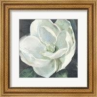 Framed Magnolia III Sage