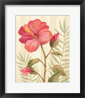 Framed 'Tropical Garden XII' border=