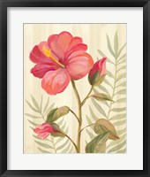 Tropical Garden XII Framed Print