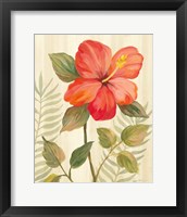 Framed 'Tropical Garden XI' border=