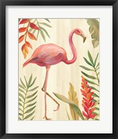Tropical Garden IX Framed Print