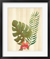 Tropical Garden V Framed Print