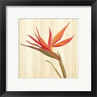 Framed 'Tropical Garden IV' border=