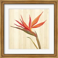 Framed Tropical Garden IV