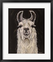 Framed Llama Blanca