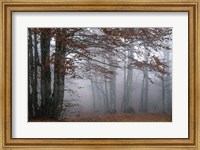 Framed Autumn Paintings