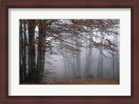 Framed Autumn Paintings