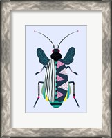 Framed Beetle