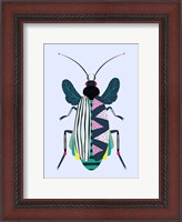 Framed Beetle