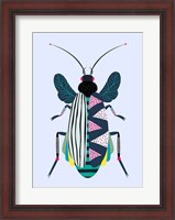 Framed Beetle