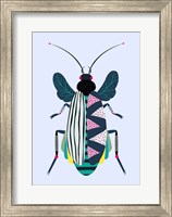 Framed Beetle