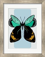 Framed Butterfly