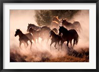 Framed Horses