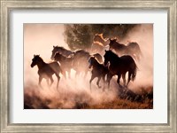 Framed Horses