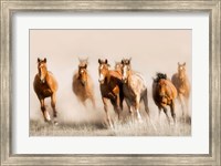 Framed Outlaws