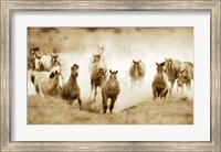 Framed San Cristobol Horses