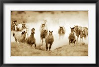 Framed San Cristobol Horses