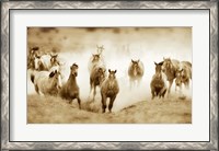 Framed San Cristobol Horses