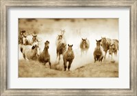 Framed San Cristobol Horses