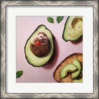 Framed Avocado Toast