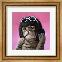 Framed Bob Cat