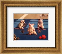 Framed Gym Rats