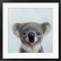 Framed Lil Koala