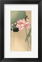 Framed Songbird and Lotus, 1900-1936