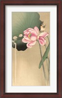 Framed Songbird and Lotus, 1900-1936