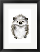 Framed Little Hedgehog