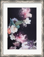 Framed Purple Blossom 1