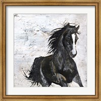 Framed Wild Horse 1