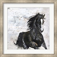 Framed Wild Horse 1