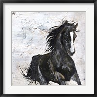 Framed Wild Horse 1