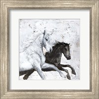 Framed Wild Horse 2