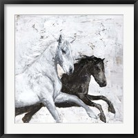 Framed Wild Horse 2
