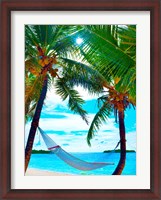 Framed Coconut Sun