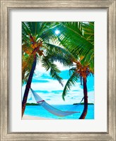 Framed Coconut Sun