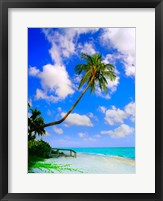 Framed Sanibel Island