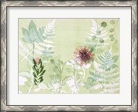 Framed Myriad Celebration of Plants