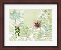 Framed Myriad Celebration of Plants